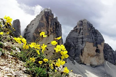 Appartamento per vacanze ad Antholz con...