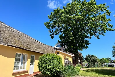 Appartementhaus Kathrin, Wieck am Darß