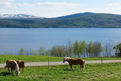 6 Personen Ferienhaus in Nordli-By Traum