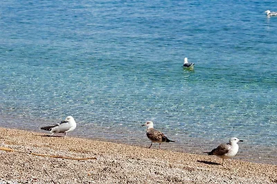 Splendid Beachfront Medveja Apartments - Stud...