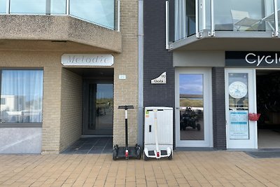 Apartment in Nieuwpoort mit Meerblick