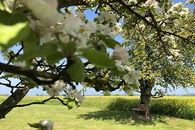 Historisches Bauernhaus 1840