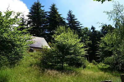 Chalet Bergweide