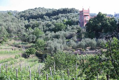 Ferienhaus in Chiavari mit Schwimmbecken