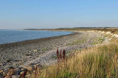 10 persoons vakantie huis in Ranum