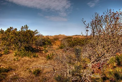 Afgelegen strandtoevlucht in Rodhus-By Traum