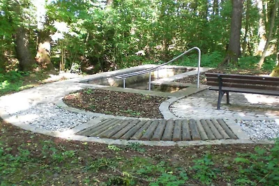 Auf dem Ferienhof Albig