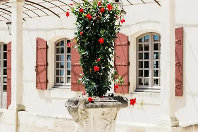 Cottage in Provence met privé-spa