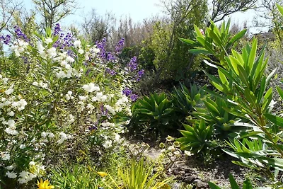 Biofinca Milflores