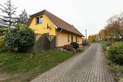 Ferienwohnung in Usedom direkt am Haff