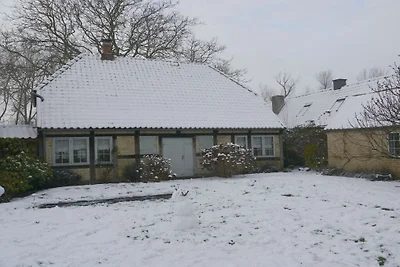 Lütt Arnis - Butterhaus