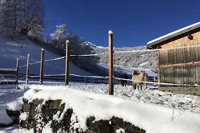 Ferienhaus in Skigebiet Katschberg in...