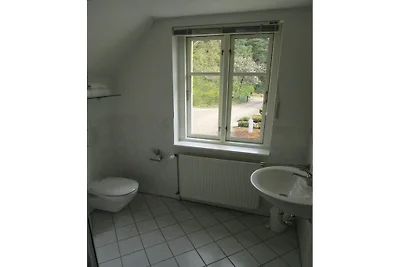 Kiwi Ferienwohnung 7