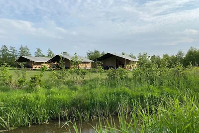 Glamping-Ausflug am Wasser