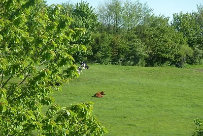 Hörreberg on the Jepsen holiday farm