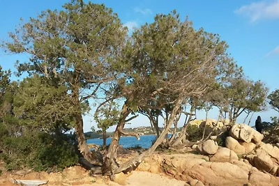 Wohnung in Cannigione