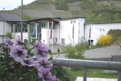 Vakantiehuis Moselle
