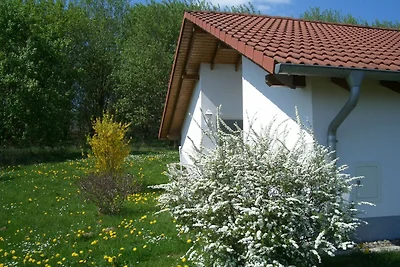 Eingeschossiger Bungalow mit Südterrasse