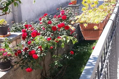 Casa Dolce Mare - ThreeBedroom Holiday Home w...