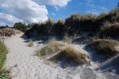 5 Personen Ferienhaus in Læsø