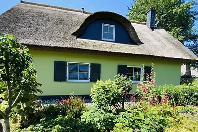 Ferienhaus in Putgarten mit Barbecue