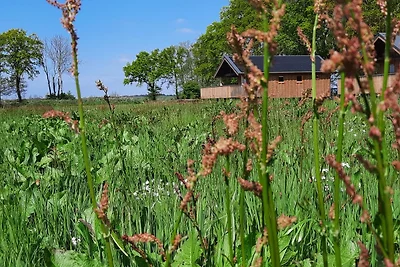 Schöne Lodge mit freiem Blick in Drenthe
