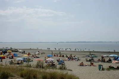 Hütte in Baarland mit Schwimmbecken