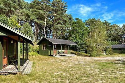 42 Personen Ferienhaus in Aakirkeby