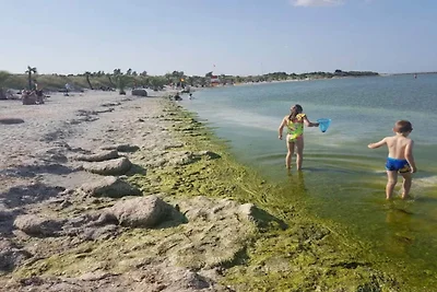 Wohnung im Zentrum von Frederikshavn