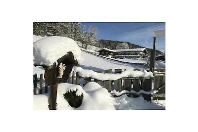 Hoher Göll im Punzenlehen