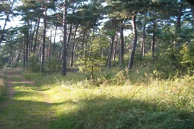 8 Personen Ferienhaus in Væggerløse-By Traum