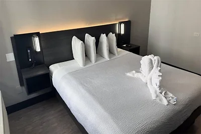 1 letto king size | Accessibile | Doccia RI |...