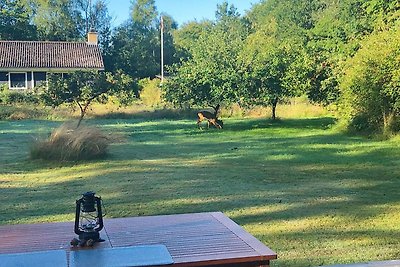 4 Personen Ferienhaus in Hals