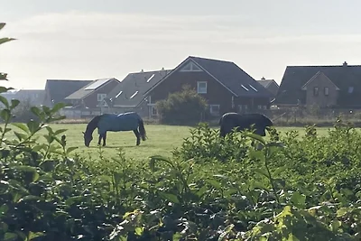 Ferienhaus Erholungsurlaub Wrixum