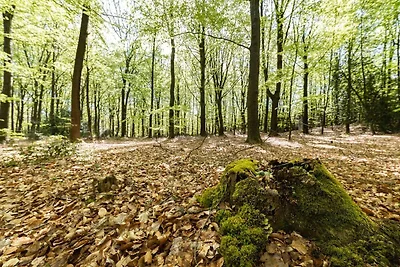 Ferienhaus mit Sauna in Drents-Friese Wold