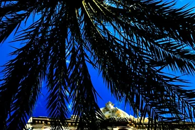 Ferienwohnung in Grau-du-Roi in Strandnähe