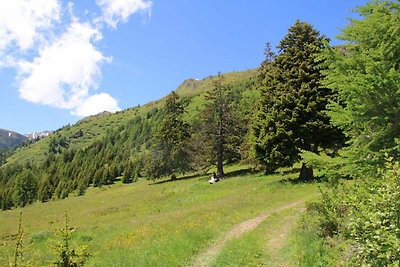 Chalet in Thyon-Les Collons voor 14 personen