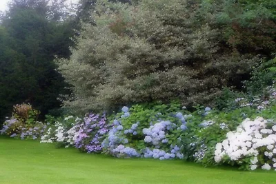 Le Clos Normand