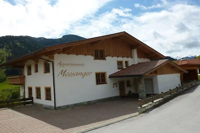 Schatzberg in het Moosanger House