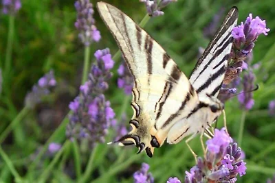 Häuser & Villen für 6 Personen