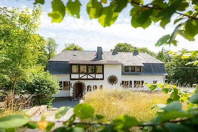 Villa in Mayen mit Schwimmbecken
