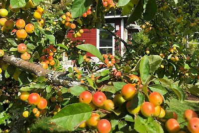 7 Personen Ferienhaus in NÄSSJÖ