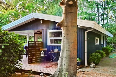 5 Personen Ferienhaus in Tranekær-By Traum