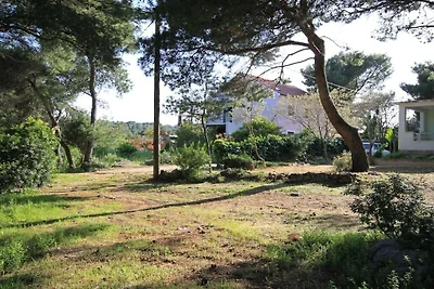 Appartement in Vrbanj met barbecue en wifi.