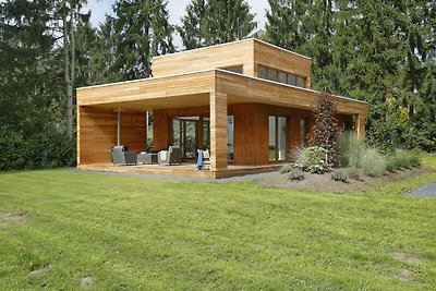 Modernes Ferienhaus mit Holzofen bei Almelo