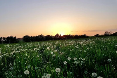 6 Personen Ferienhaus in Sydals-By Traum