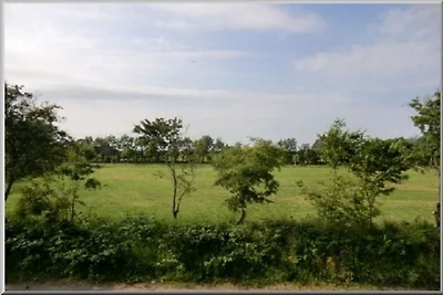 Ferienwohnung in Föhr mit 2 Schlafzimmer