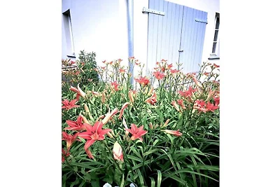 Gartenhaus 1000 Seen