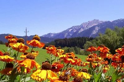 Hirterhütte Familie  Gsenger