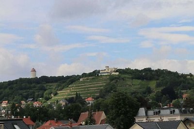 “Vista sui vigneti” nella Haus Felix